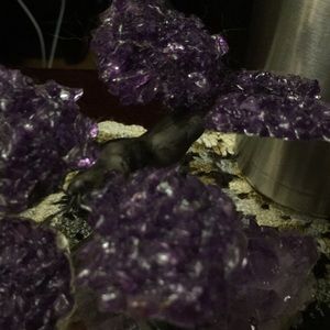 Meet your Posher, Marion